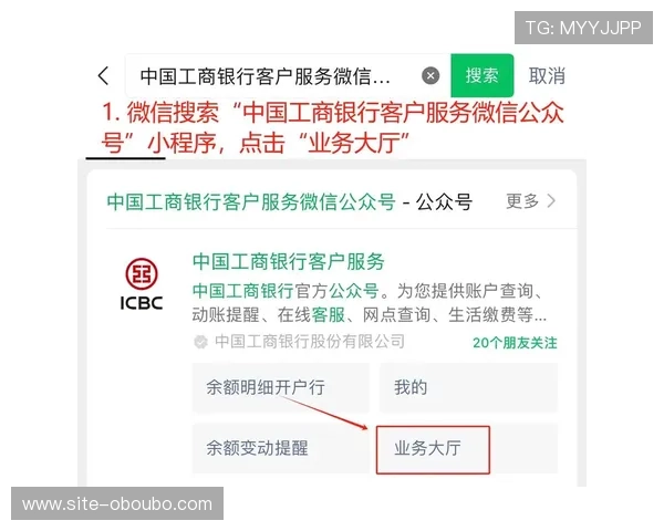 如何利用网络资源高效进行欧博会员开户网点查询和信息确认