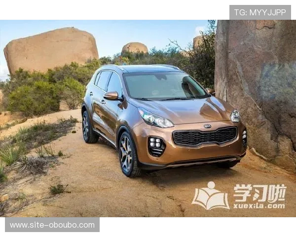 欧博app登录入口安卓版苹果版安全登录保障措施全面解读