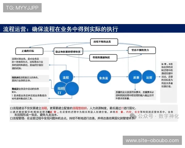 欧博代理商管理系统的功能详解及其在提升代理商合作效率中的关键作用